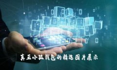 真正小狐钱包的精选图片