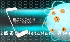 iPad能否使用MetaMask：详细