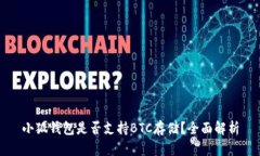 小狐钱包是否支持BTC存储