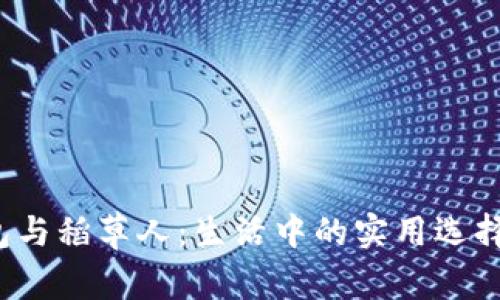  金狐狸钱包与稻草人：生活中的实用选择与品牌故事