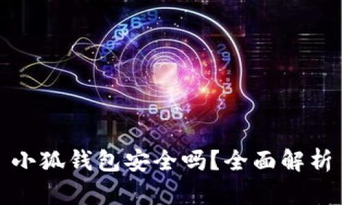 小狐钱包安全吗？全面解析