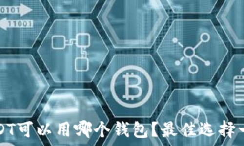   
USDT可以用哪个钱包？最佳选择一览