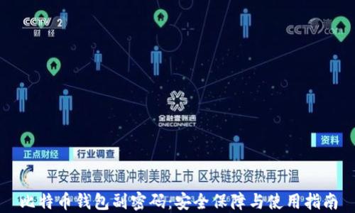 
比特币钱包副密码：安全保障与使用指南