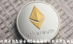 手机比特币钱包安全吗？全面解析比特币钱包的